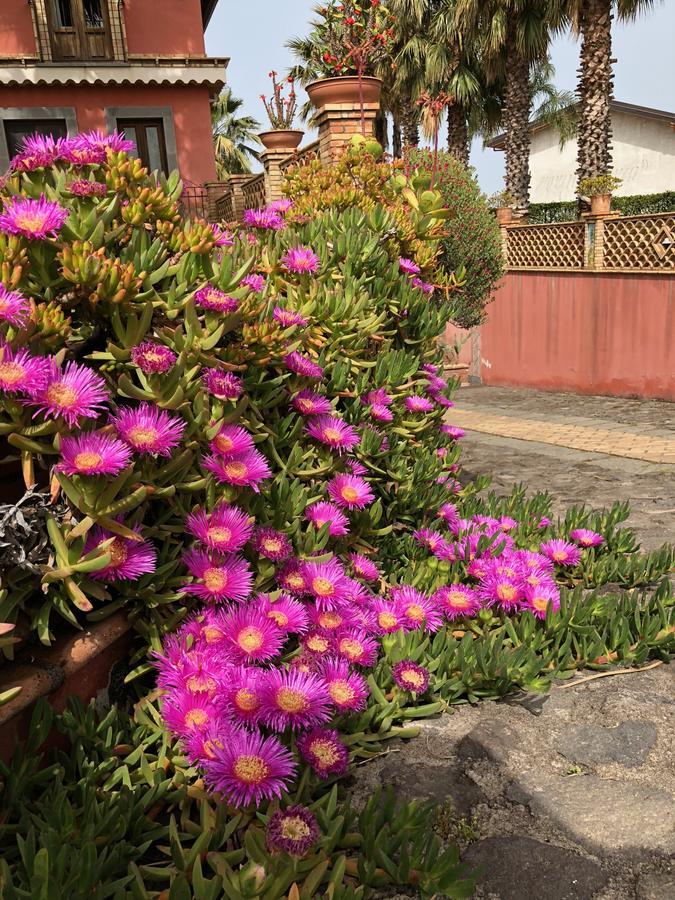 Villa Papardo ジャッレ エクステリア 写真